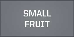 Small Fruit
